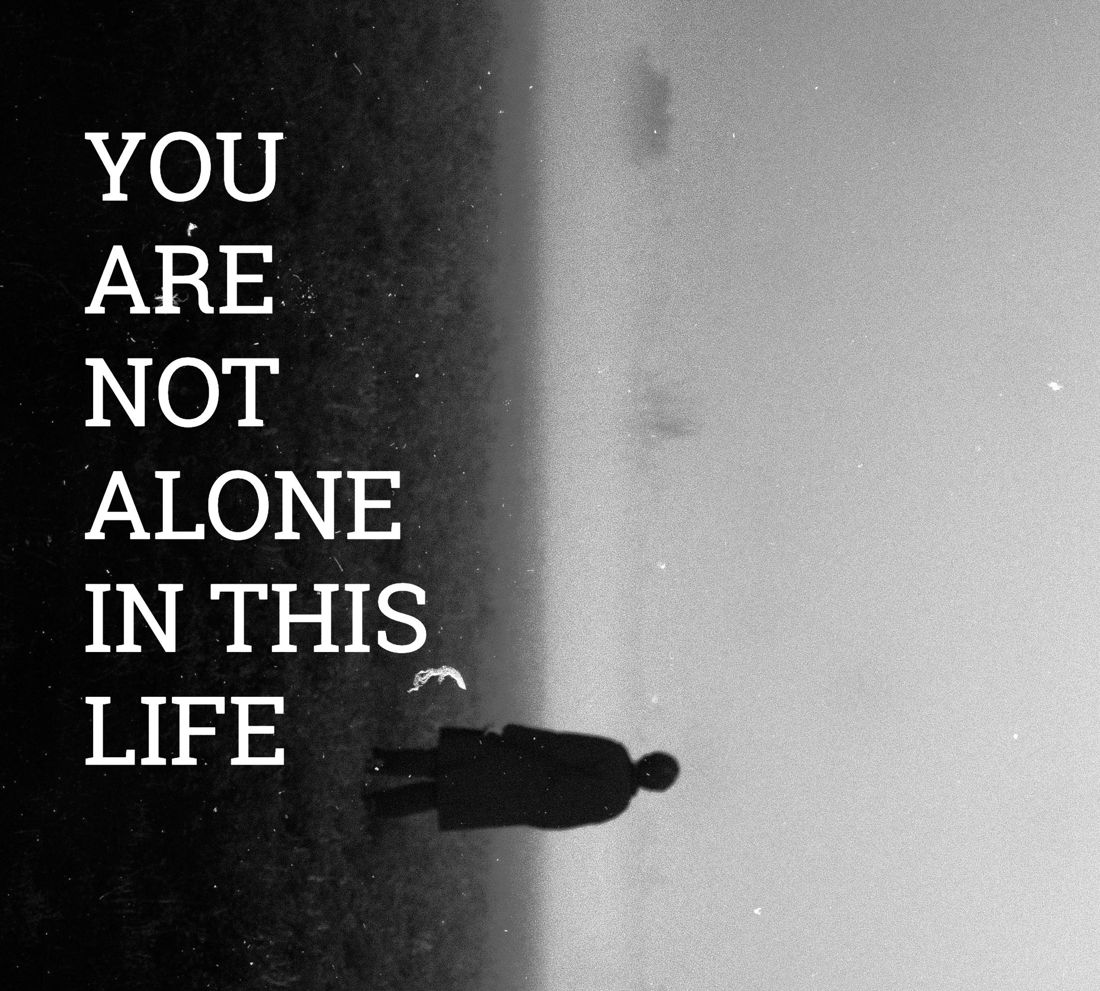 You are Not Alone in this Life by Rufus Roswell