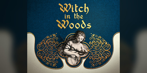 Cover image for Wiedźma w Lesie