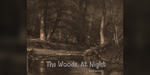 Cover image for The Woods, At Night