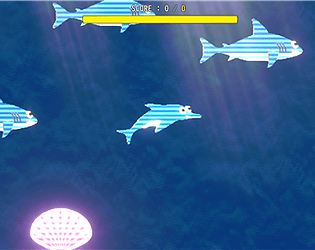 #333 Dolphin vs Shark