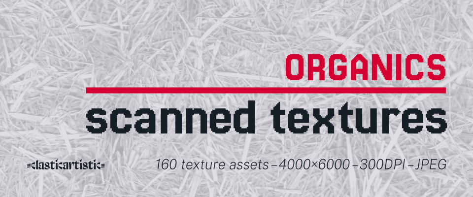 Scanned Textures – Organics