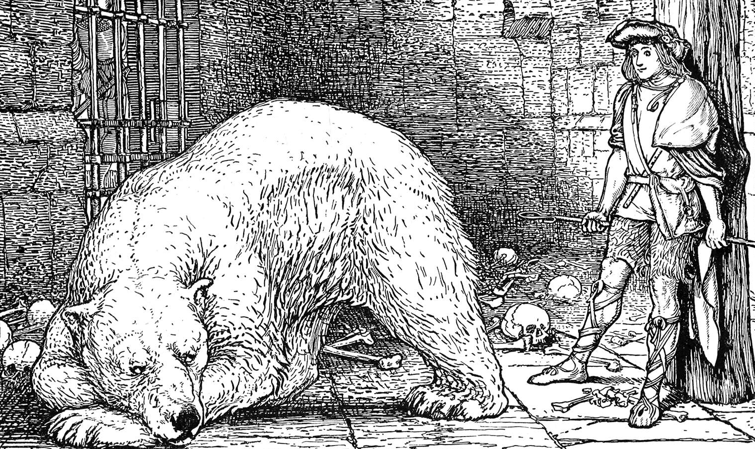Cover image for That damned bear - Cairn Pamphlet