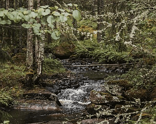 Downstream