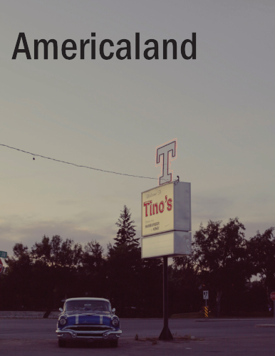 Cover image for Americaland