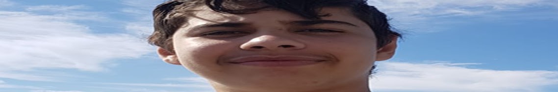 Parasite Central Simulator