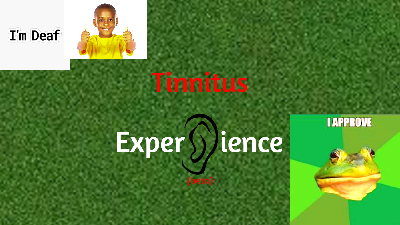 Tinnitus Experience (beta 1.2)