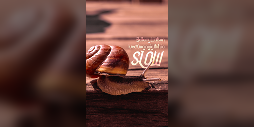 Cover image for Slow