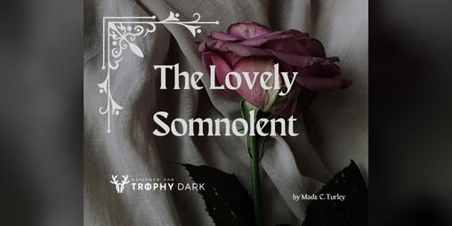 Cover image for The Lovely Somnolent