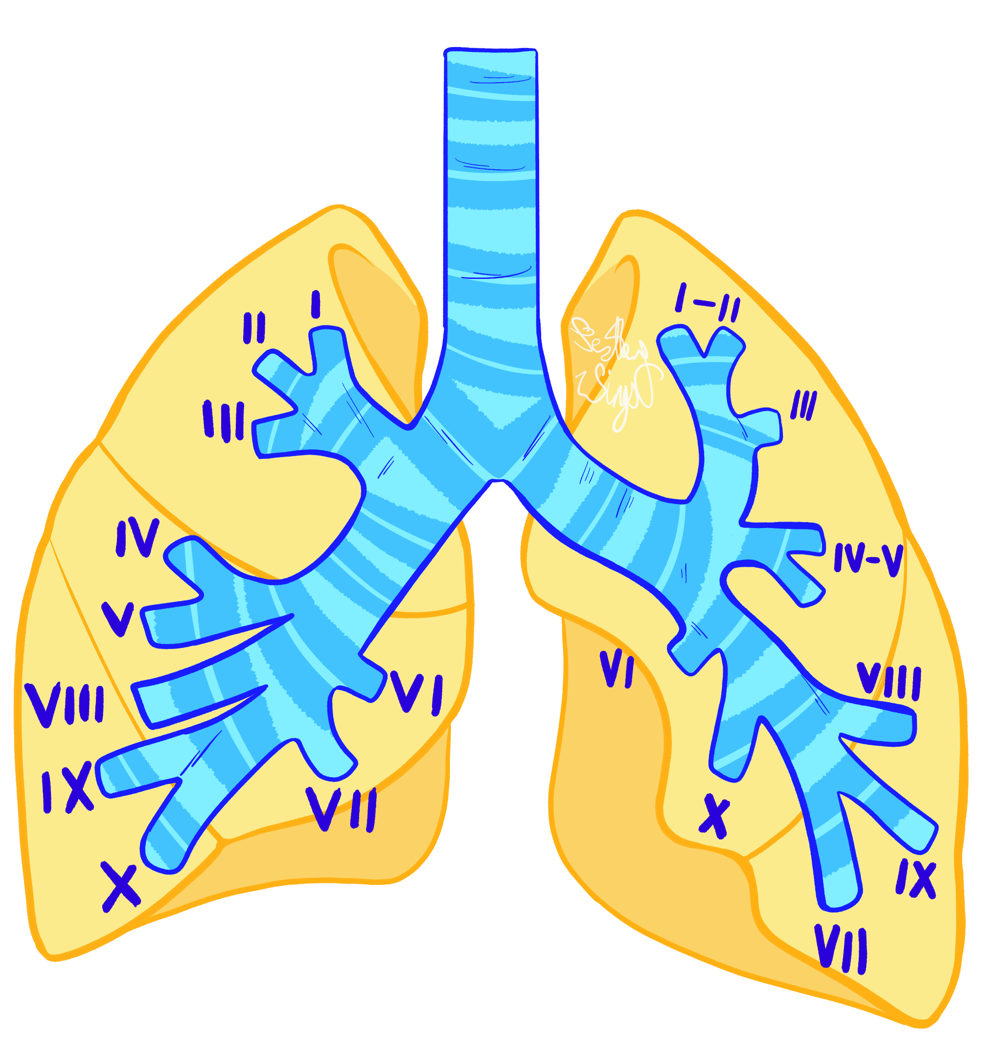 medical-drawings-dibujos-m-dicos-by-aalaswings