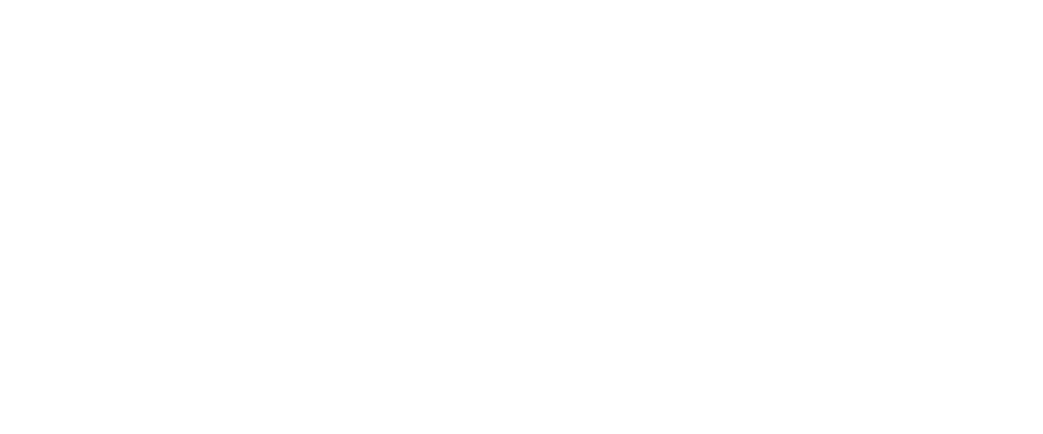 No Roaming