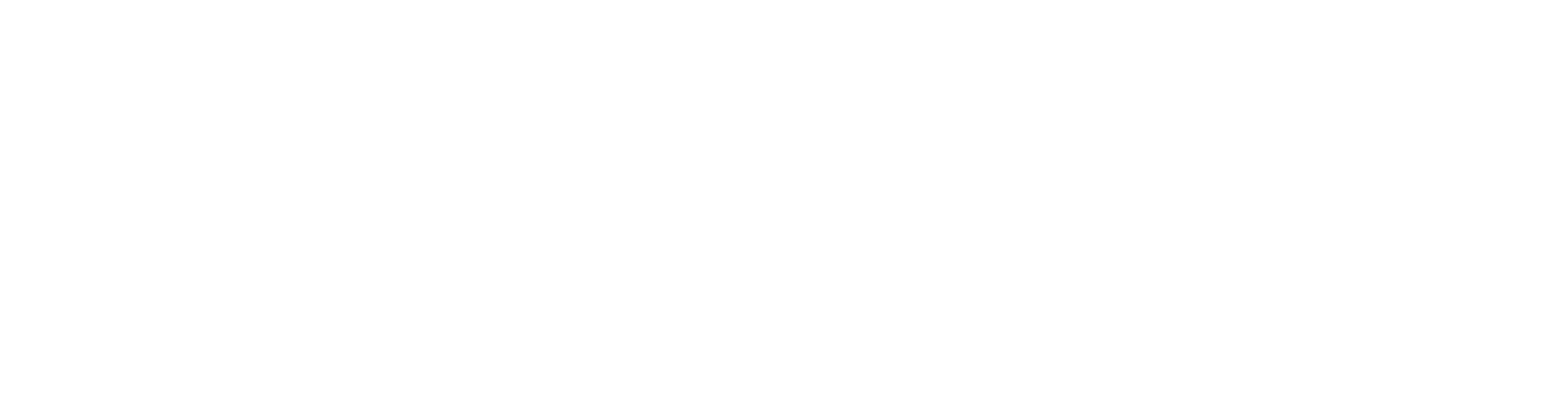The Town Council