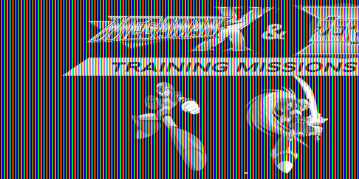 Cover image for Megaman X and Zero: Training Missions