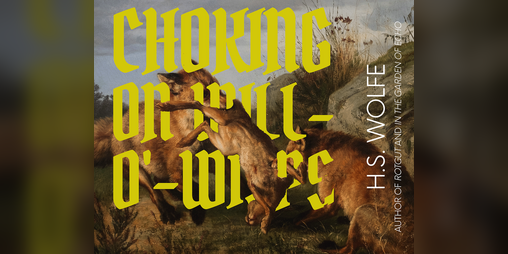 Cover image for Choking On Will-O'-Wisps