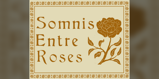 Cover image for Somnis entre roses