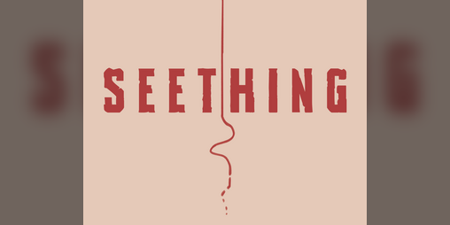 Cover image for Seething
