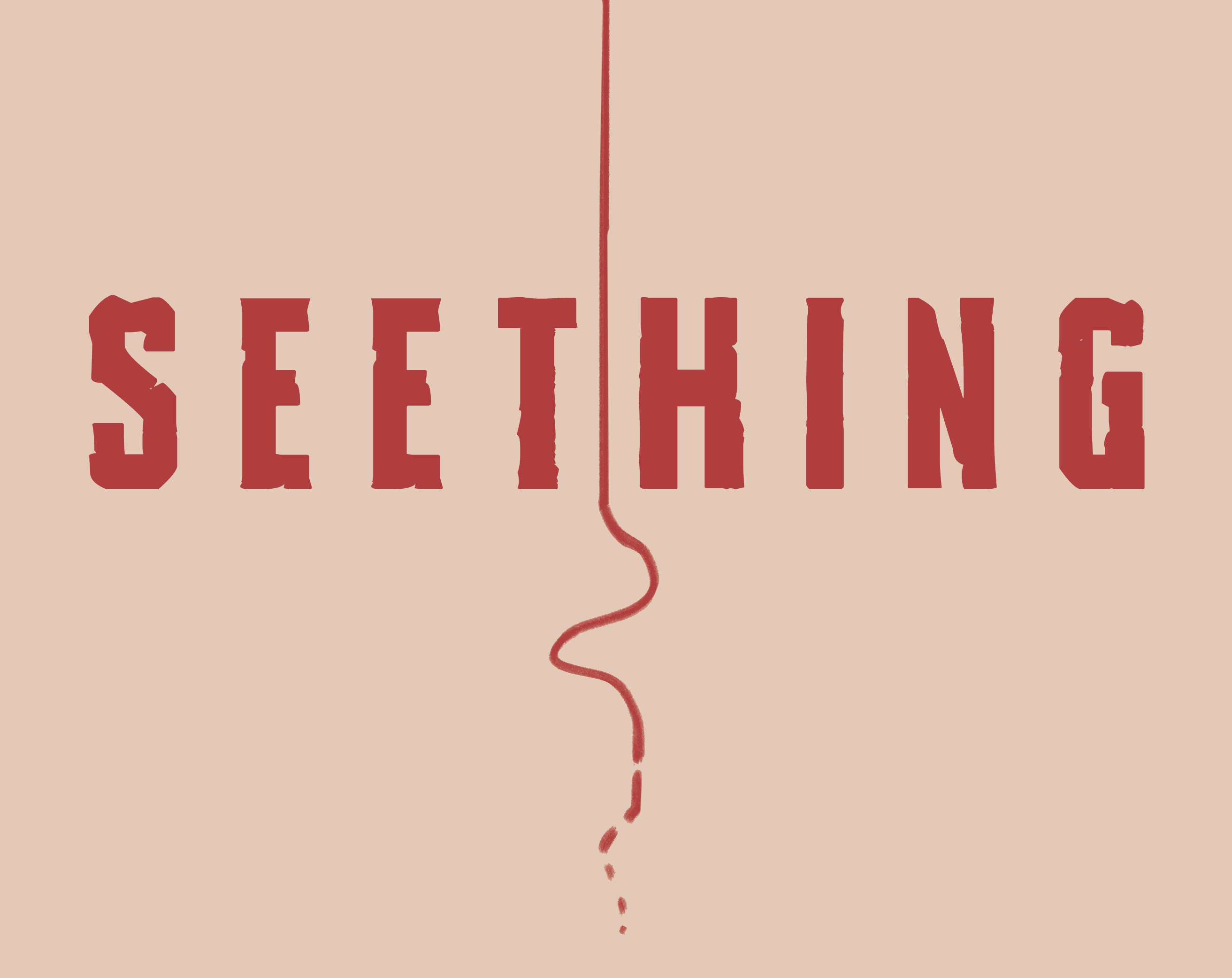Cover image for Seething