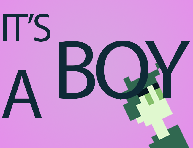 Cover image for It's a boy!