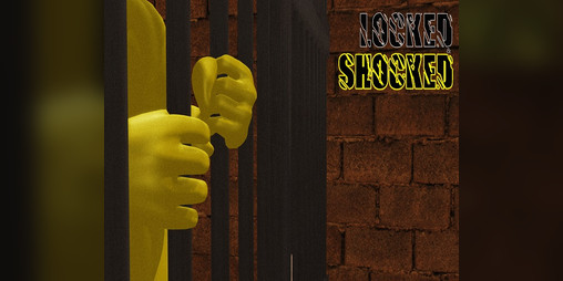 Cover image for Locked & Shocked