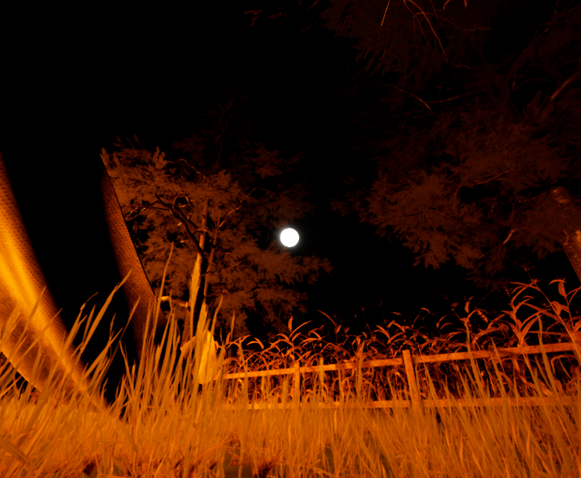 Cover image for Ka'aguy