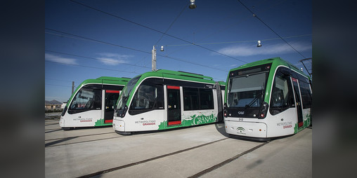 Cover image for Trenes