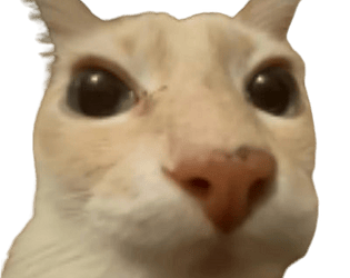Slendercat
