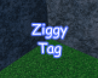 Ziggy Tag