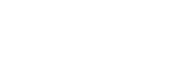 The Magnificent Adventures of I·MAN