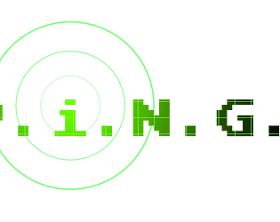 P.I.N.G.