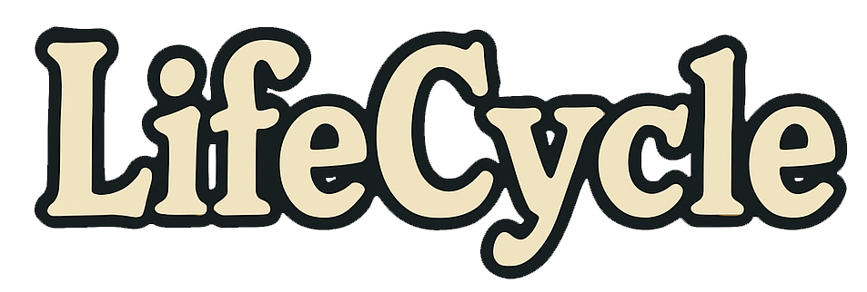 LifeCycle
