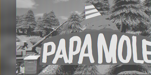 Cover image for Papa Mole