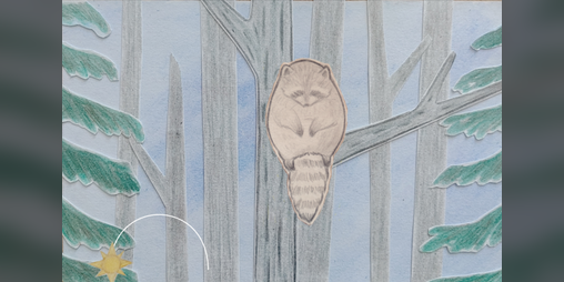 Cover image for Raccoon Game