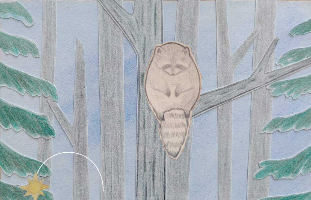Cover image for Raccoon Game