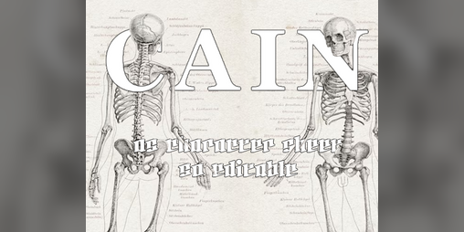 Cover image for CAIN Editable Character Sheet