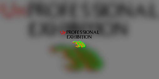 Cover image for Unprofessional Exhibition 3D