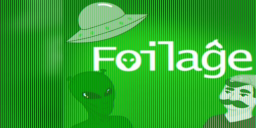 Cover image for Foilaĝe
