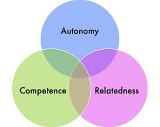 Self Determination Journey
