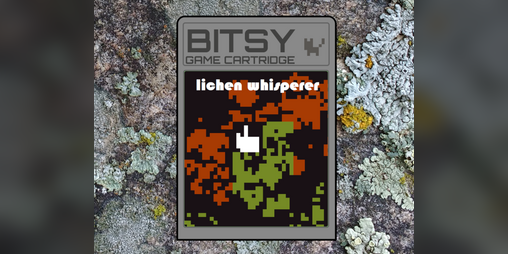 Cover image for Lichen Whisperer