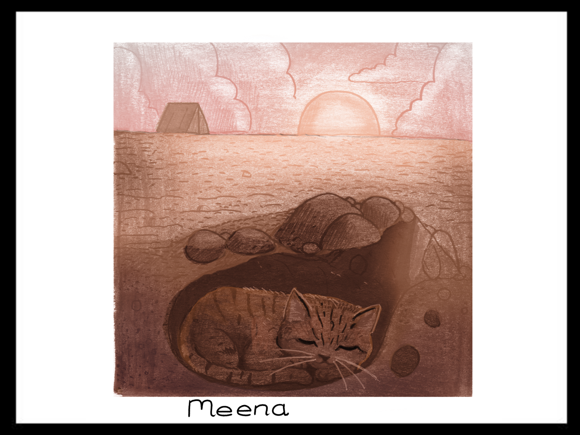 Cover image for Meena
