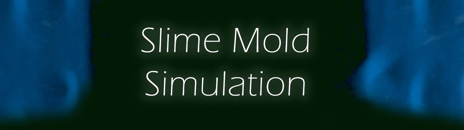 3D Slime Mold Simulation