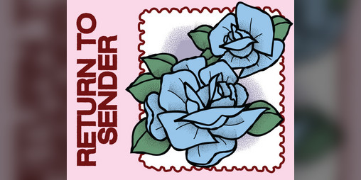 Cover image for Return to Sender