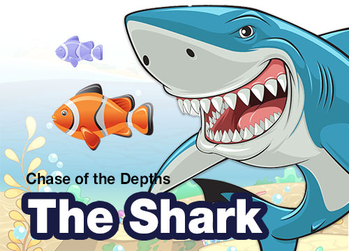 The Shark
