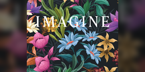 Cover image for IMAGINE