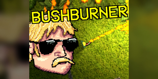 Cover image for Bushburner