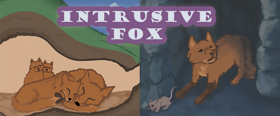 Intrusive Fox