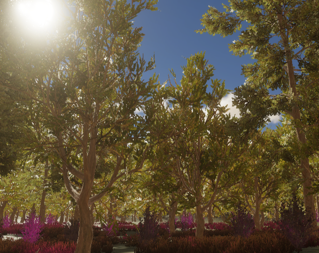 The Wraithwood Forest