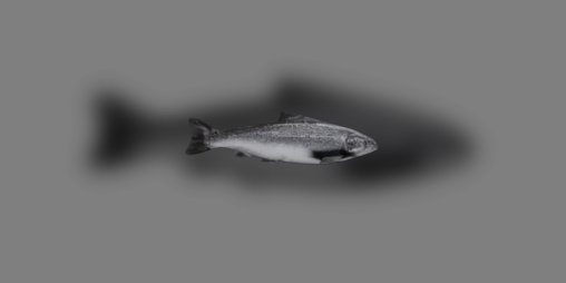 Cover image for The Lerped