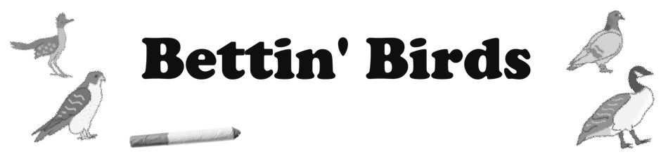 Bettin' Birds