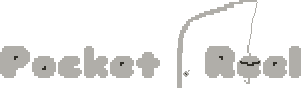 Pocket Reel
