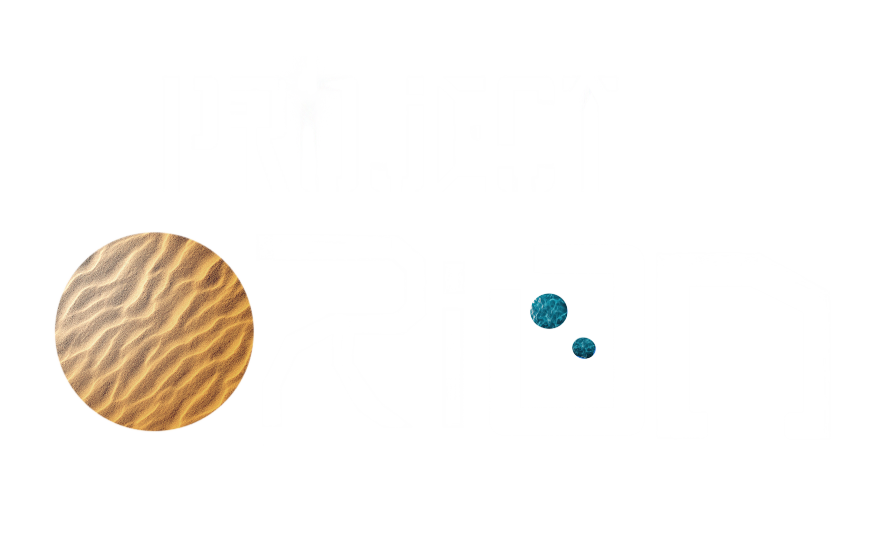Project Orion