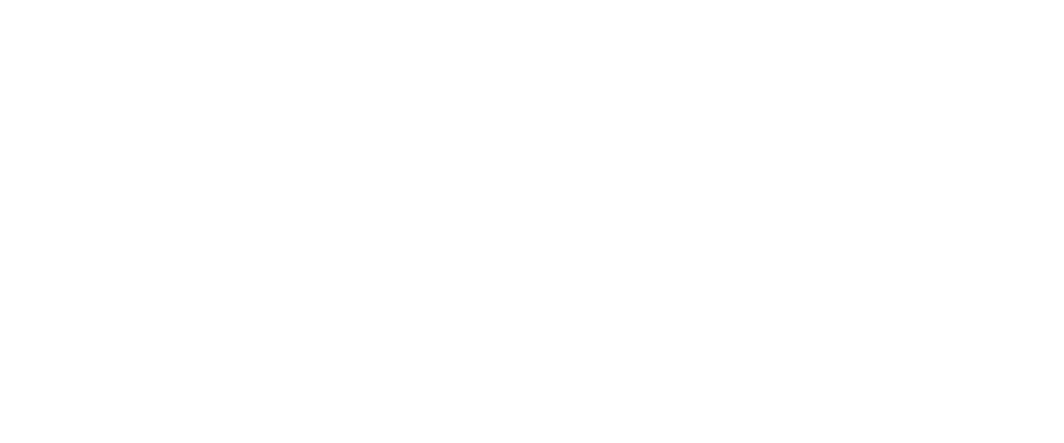 Wandering Dreams 2e